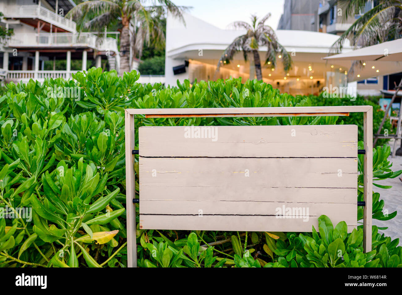 Pancarte en bois avec plante verte sur la plage Banque D'Images