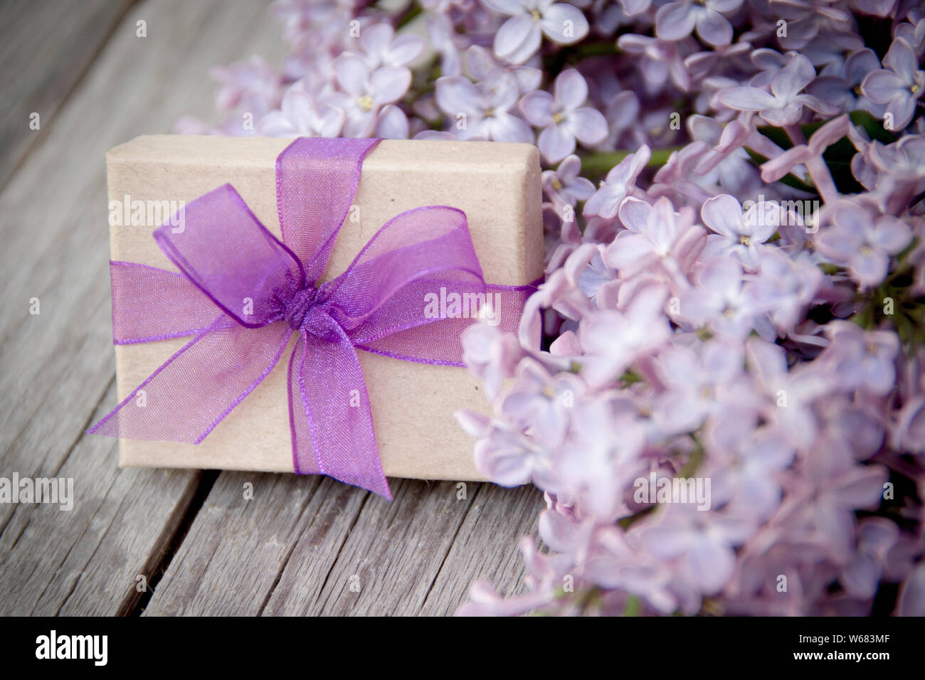 Boîte-cadeau avec purple bow et lilas sur bois Banque D'Images