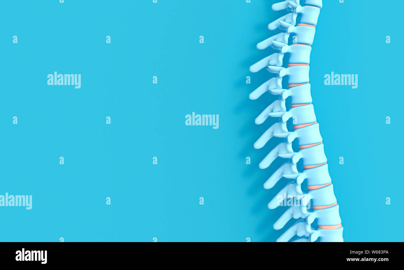 L'image de rendu 3D d'une colonne vertébrale sur un fond bleu. Conception de la santé et des problèmes de dos. Banque D'Images