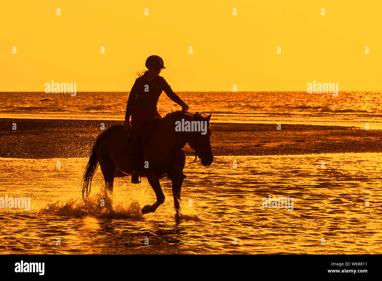 / Cavalière cheval femelle cavalier au cheval dans l'eau sur la plage le long de la côte de la mer du Nord, en silhouette au coucher du soleil en été Banque D'Images