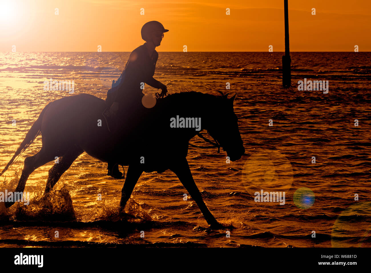 / Cavalière cheval femelle cavalier au cheval galopant dans l'eau sur la plage le long de la côte de la mer du Nord, en silhouette au coucher du soleil en été Banque D'Images