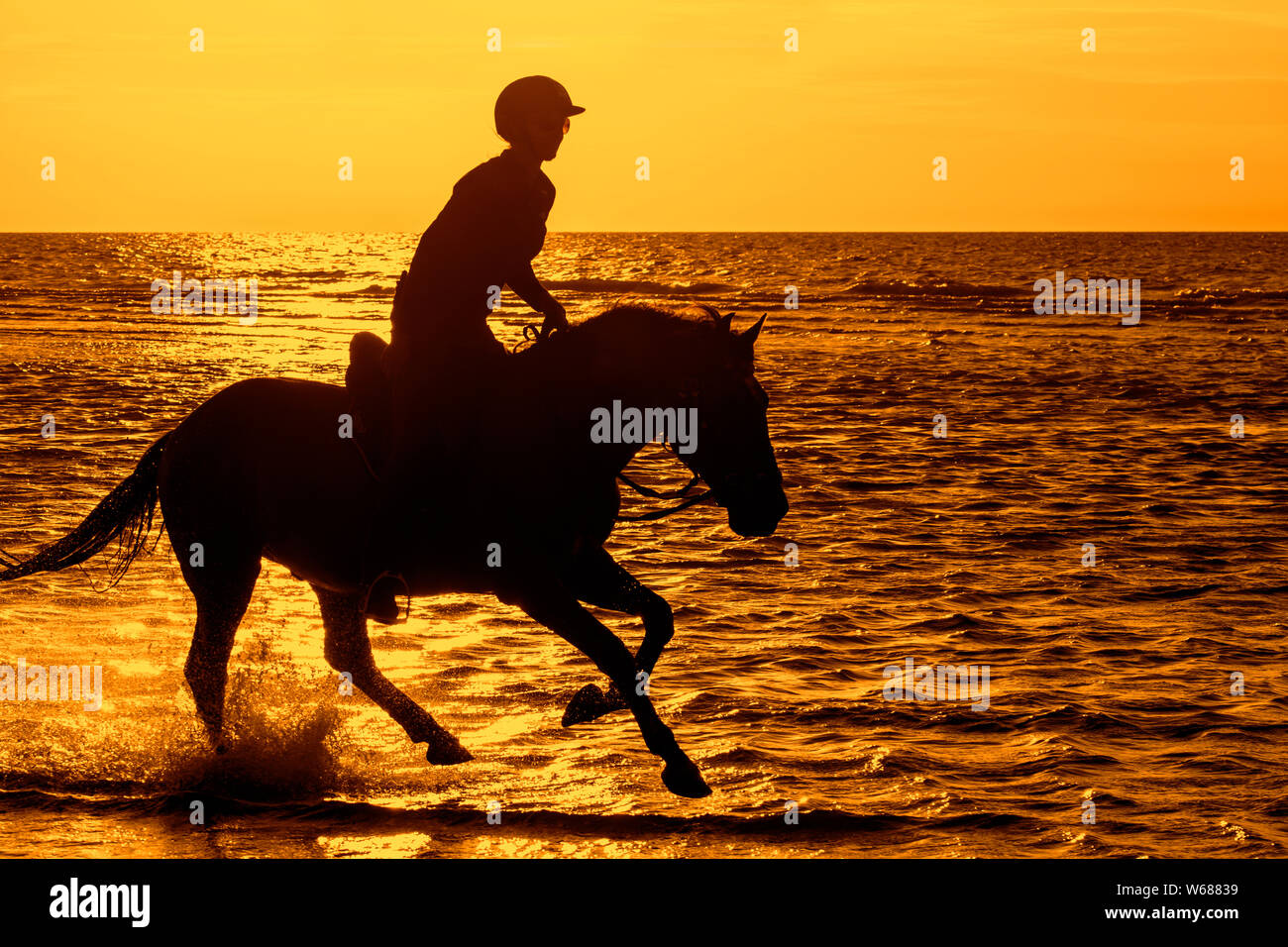 / Cavalière cheval femelle cavalier au cheval galopant dans l'eau sur la plage le long de la côte de la mer du Nord, en silhouette au coucher du soleil en été Banque D'Images