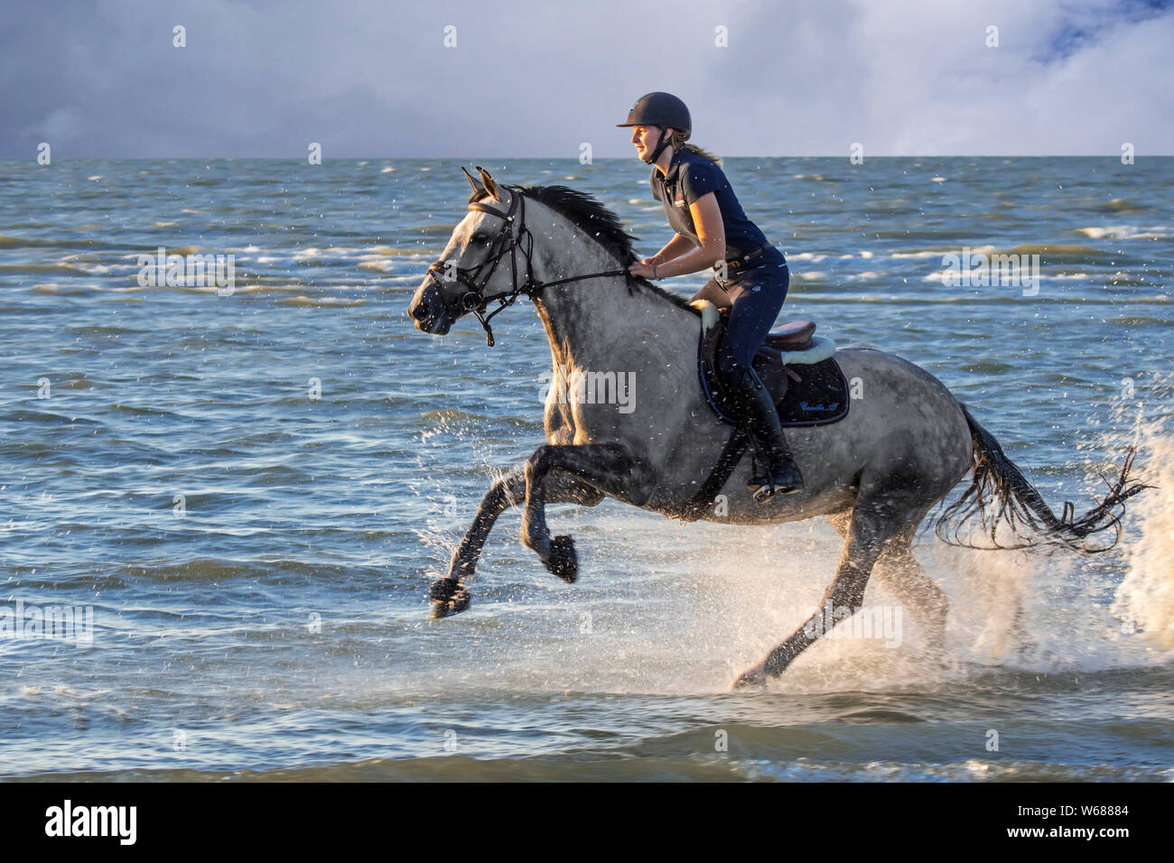 / Cavalière cheval femelle cavalier au cheval galopant en eau peu profonde sur la plage le long de la côte de la mer du Nord Banque D'Images