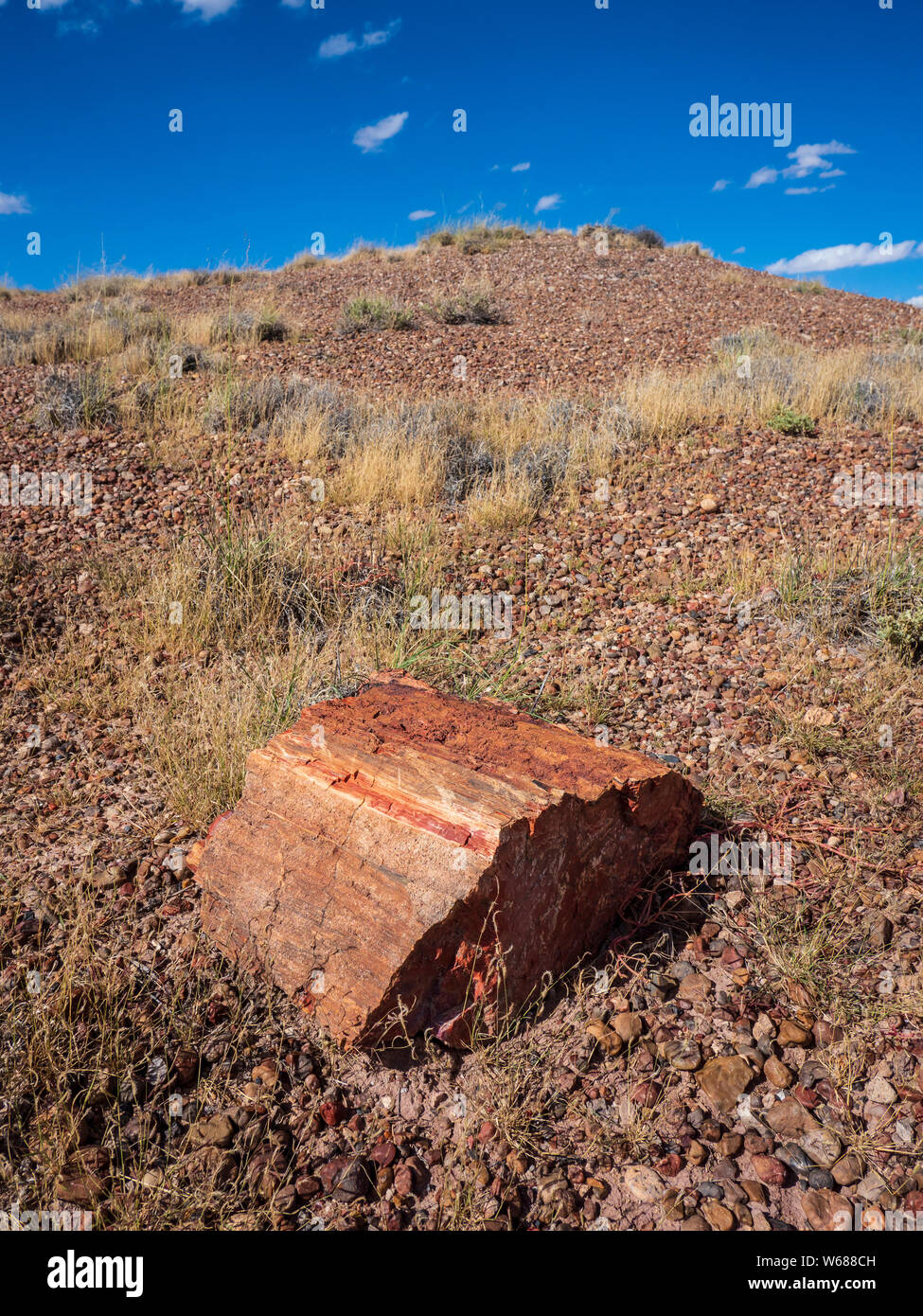 Le bois pétrifié sur la vieille route dans la zone forestière de Jasper, Parc National de la Forêt Pétrifiée, Arizona. Banque D'Images