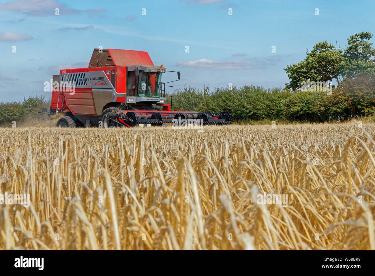Tröska - Massey Ferguson 7278 | Blinto auktioner