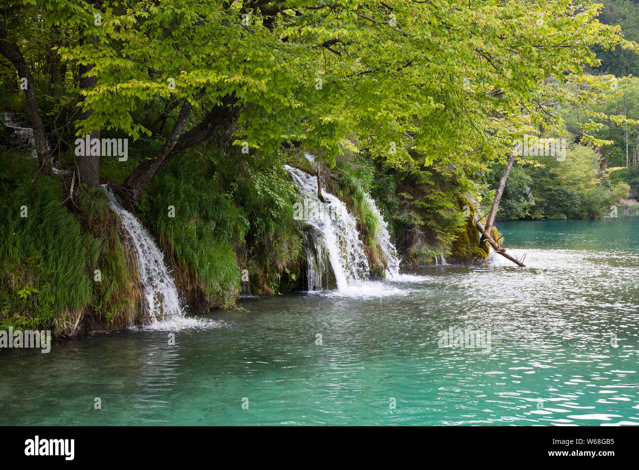 Chambre des cascades, le parc national des Lacs de Plitvice, Croatie. Site du patrimoine mondial de l'UNESCO, cette merveille naturelle contient 16 lacs reliés par des rivières Banque D'Images