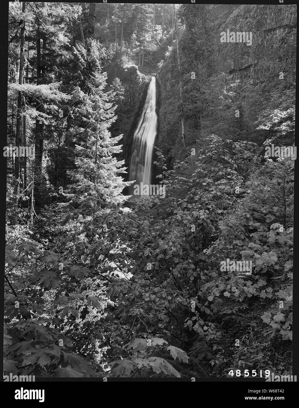 La fourche supérieure Clackamas River Falls, Mount Hood National Forest, North Carolina, 1957. ; notes générales : Juste en dessous de Oregon City Système d'apport d'eau municipaux. Banque D'Images