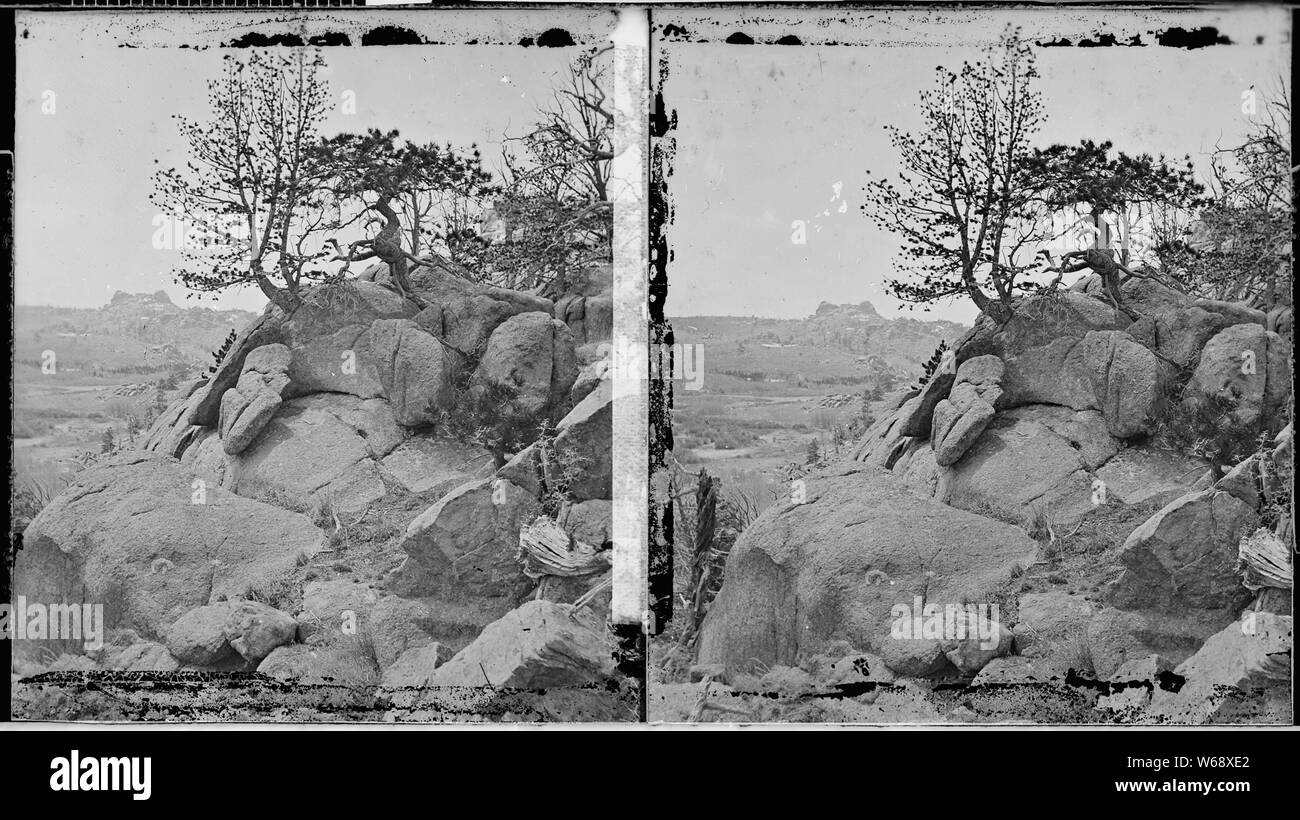 Vue près de la tête de Crow Creek. Comté de Laramie, Wyoming Banque D'Images