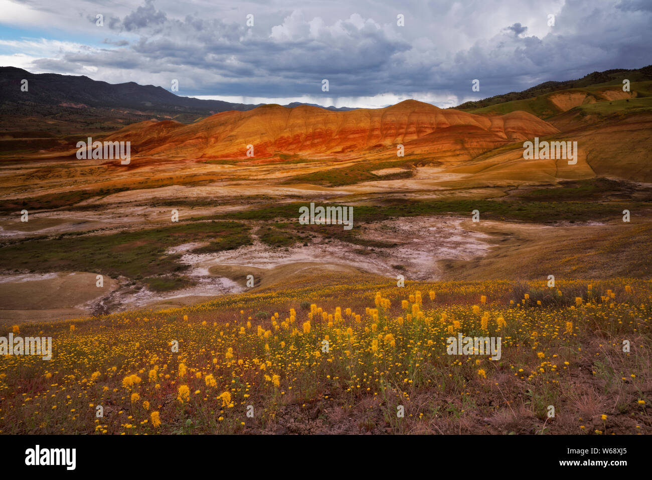 Le crépuscule civil glow sur la prolifération printanière de fleurs des champs à la base de l'unité centrale en collines peintes Oregon's John Day Fossil d'appoint. Banque D'Images