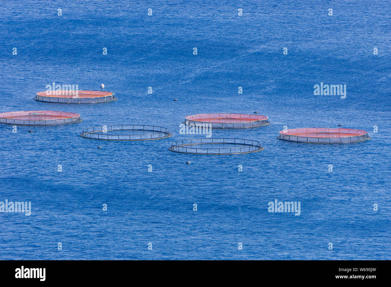 Image de l'aquaculture pisciculture de la mer de l'Atlantique, Madère, Portugal Banque D'Images