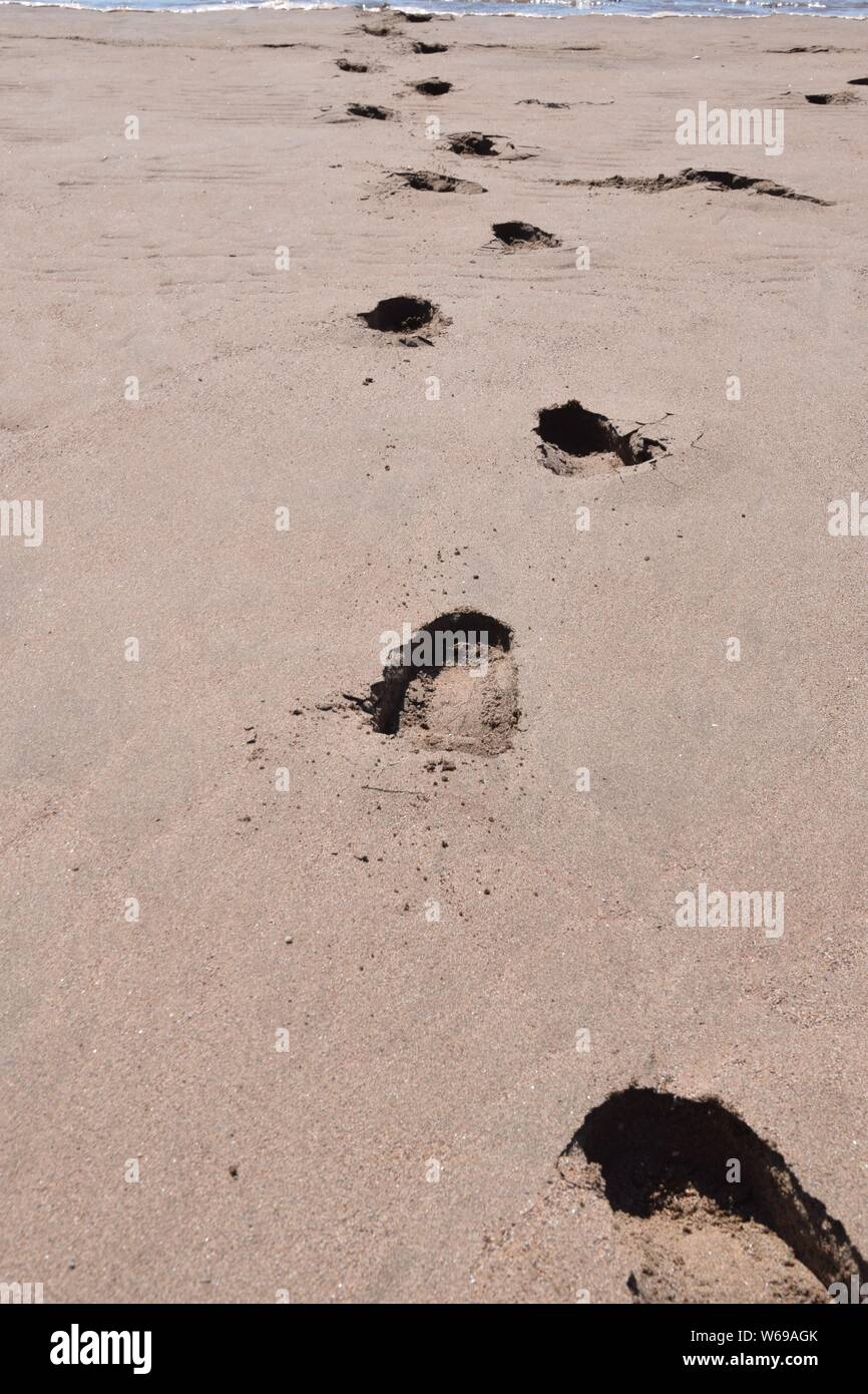 Empreintes de pieds dans le sable à la plage Banque D'Images