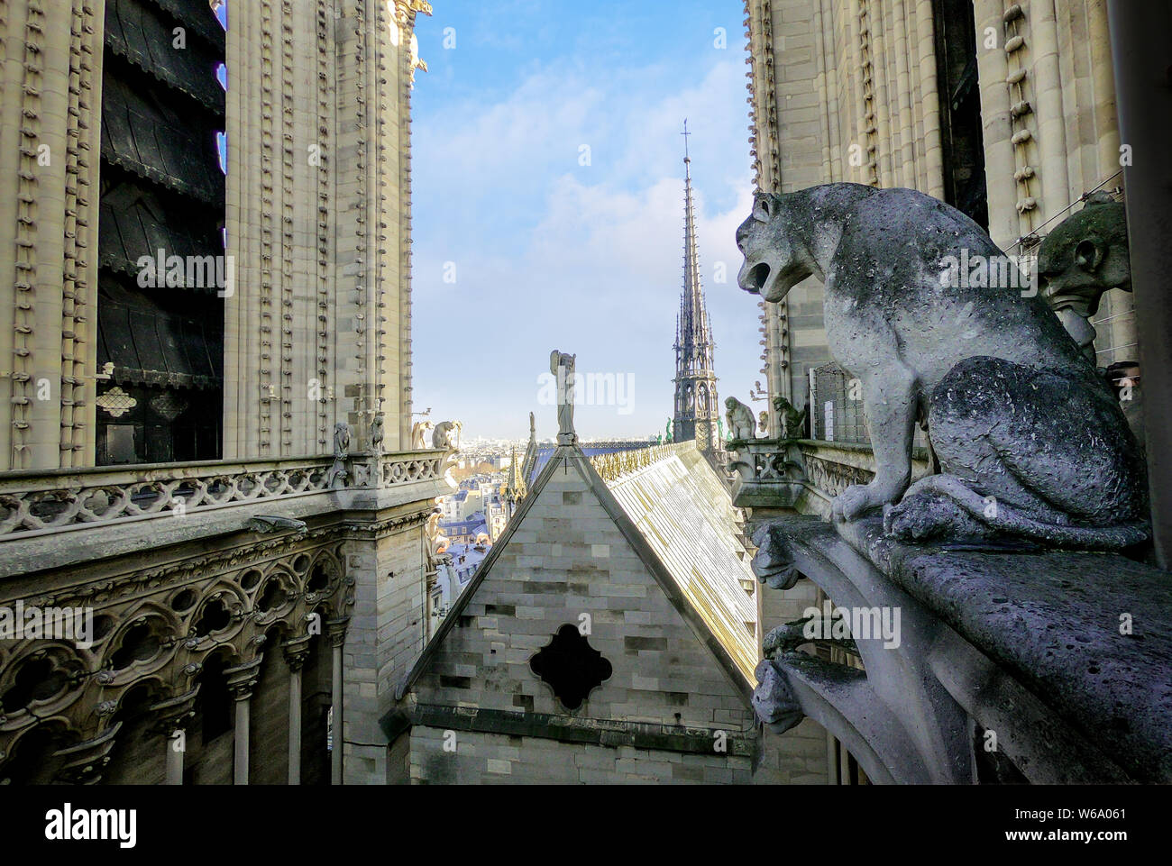 Célèbre Statue et gargouille Sur Le Toit De La Cathédrale Notre Dame de Paris Banque D'Images