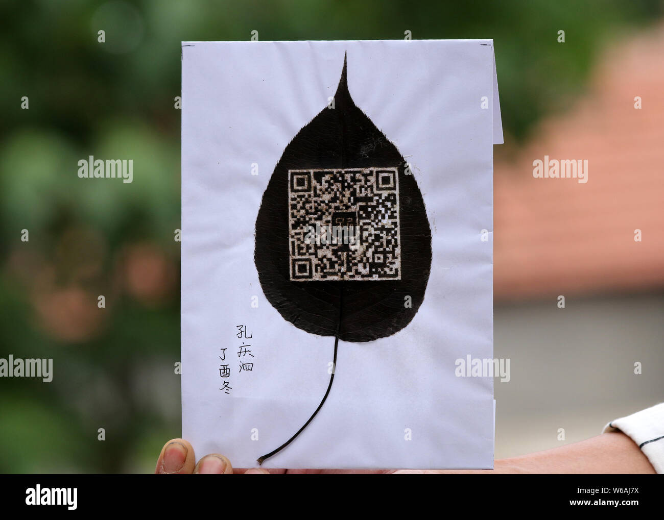 Artisan chinois Kong Qingsi montre une feuille traitée avec son QR code de l'application messagerie Weixin, ou WeChat, de Tencent sculpté par lui-même sur elle en Sh Banque D'Images
