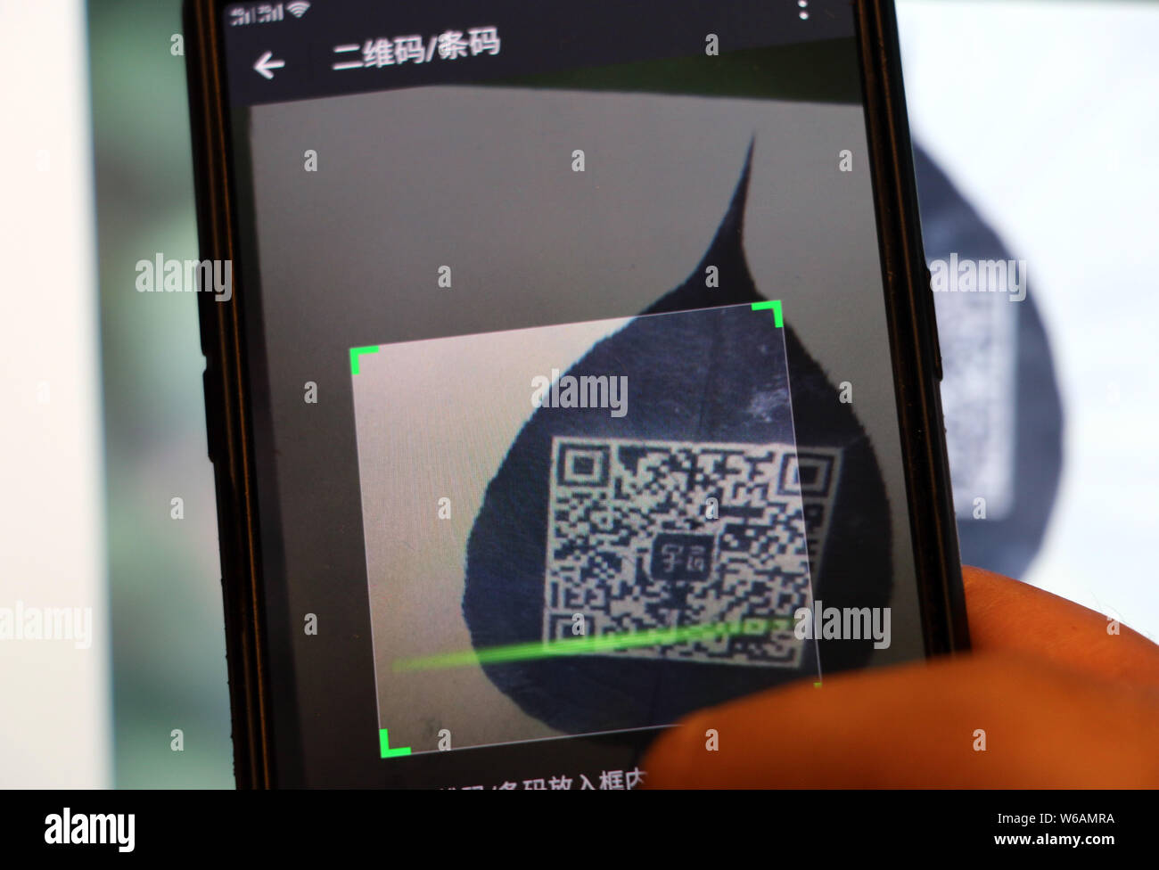 Artisan chinois Kong Qingsi scanne son code QR de l'application messagerie Weixin, ou WeChat, de Tencent sur une feuille sculptée par lui-même transformés en Shiqiang t Banque D'Images