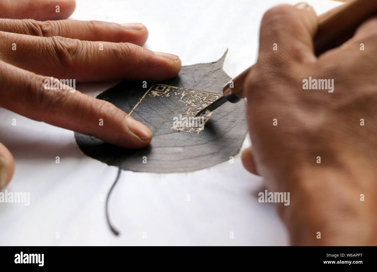 Artisan chinois Kong Qingsi sculpte une feuille traitée dans son QR code de l'application messagerie Weixin, ou WeChat, de Tencent en ville Shiqiang, Zoucheng c Banque D'Images