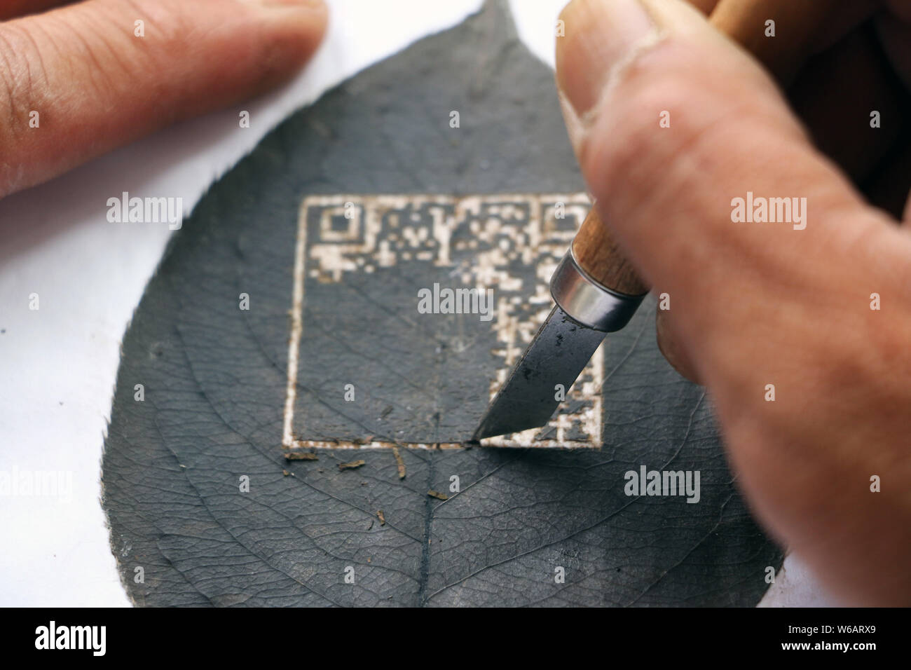 Artisan chinois Kong Qingsi sculpte une feuille traitée dans son QR code de l'application messagerie Weixin, ou WeChat, de Tencent en ville Shiqiang, Zoucheng c Banque D'Images