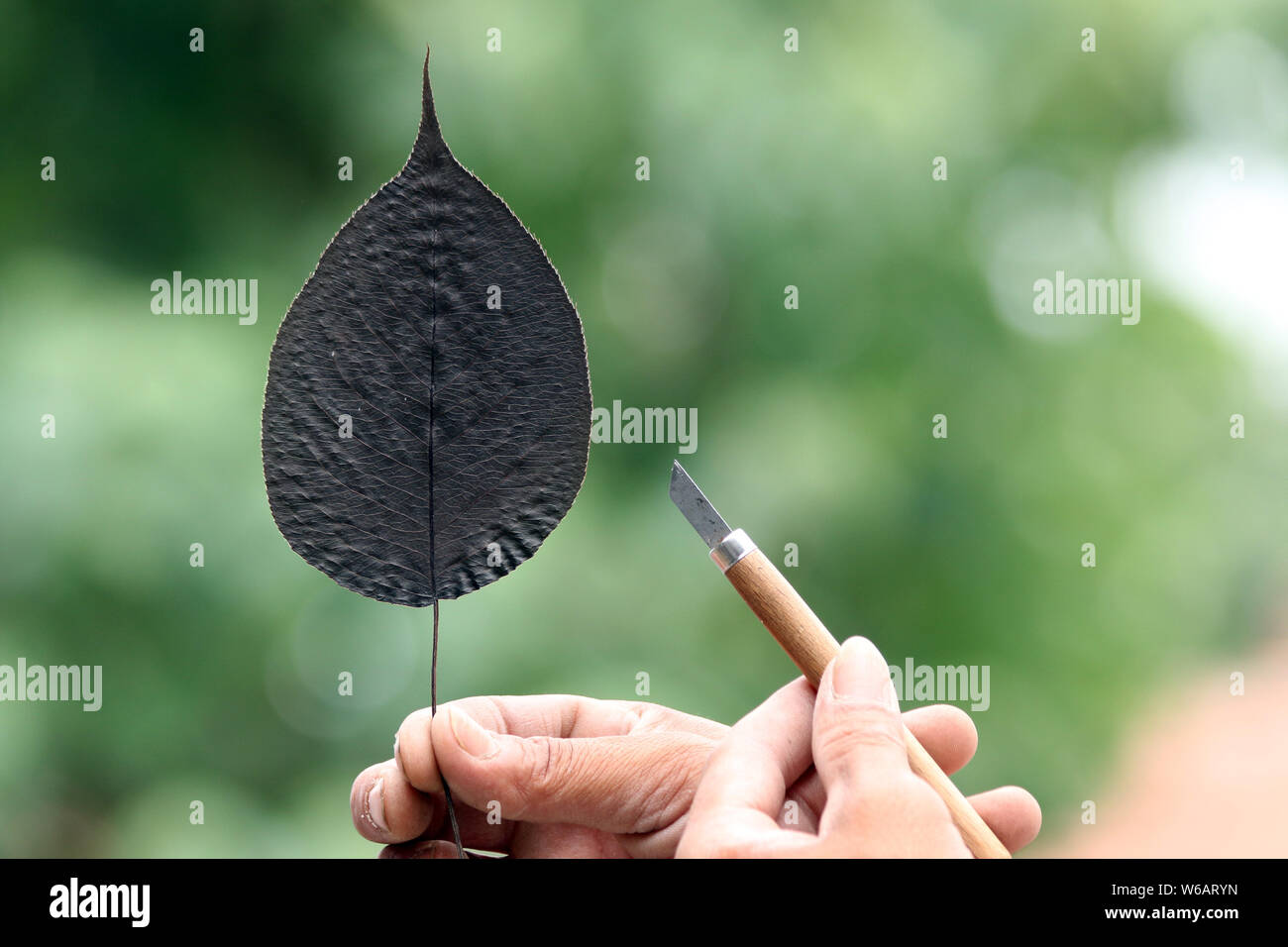 Artisan chinois Kong Qingsi montre une feuille transformés pour être sculpté dans son QR code de l'application messagerie Weixin, ou WeChat, de Tencent dans Shiqiang town Banque D'Images