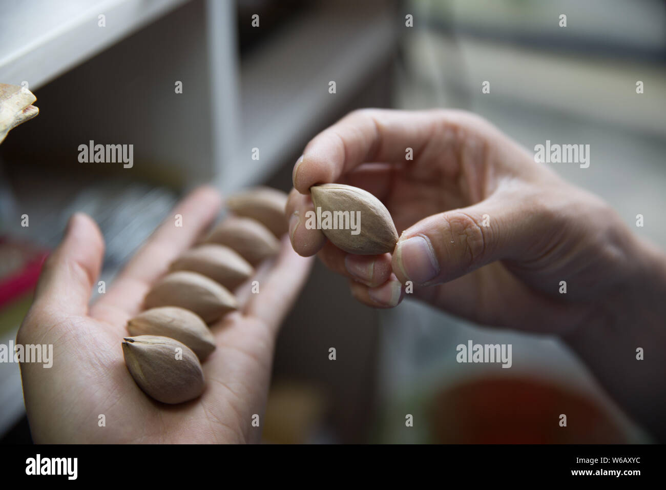 Un apprenti choisit un noyau de fruits avant de créer une sculpture sur fruits pit dans un studio à Zhoushan village, Suzhou, ville de la Chine de l'est la province du Zhejiang, 18 Banque D'Images
