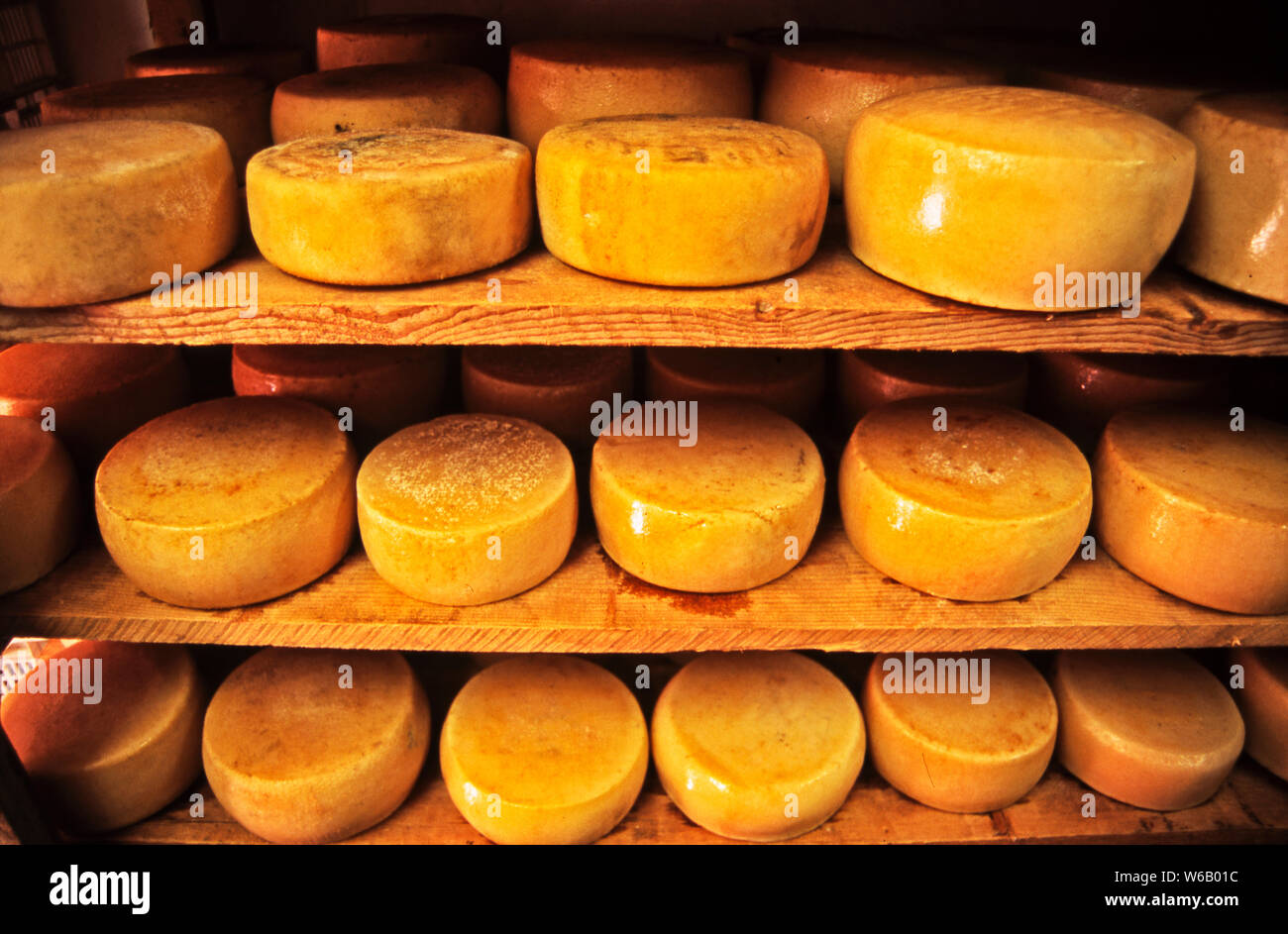 La fabrication artisanale de fromage en Toscane est une profession et un travail de vie pour les Italiens dans la région Banque D'Images