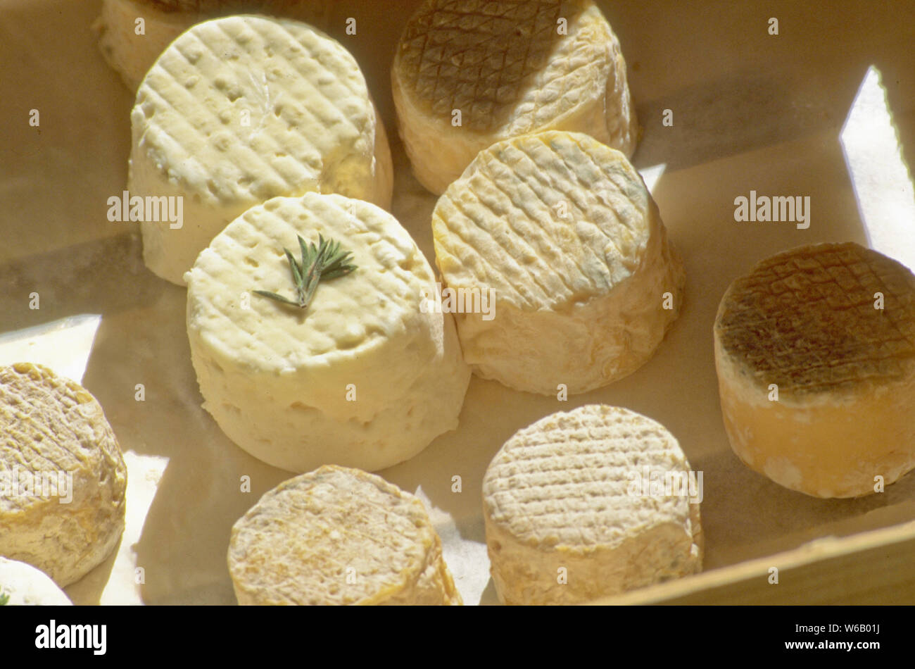 Le fromage de chèvre est une variété tendre de fromages fabriqués dans la région des Alpilles en Provence. Banque D'Images