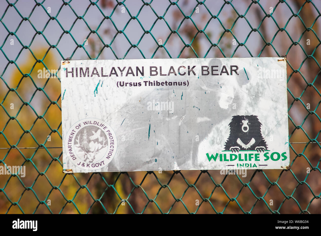 Srinagar, Jammu-et-Cachemire, en Inde : en date du 31 juillet 2019- : une pancarte lecture Himalayan Ours brun enclos au Parc National de Dachigam à Srinagar, Ka Banque D'Images