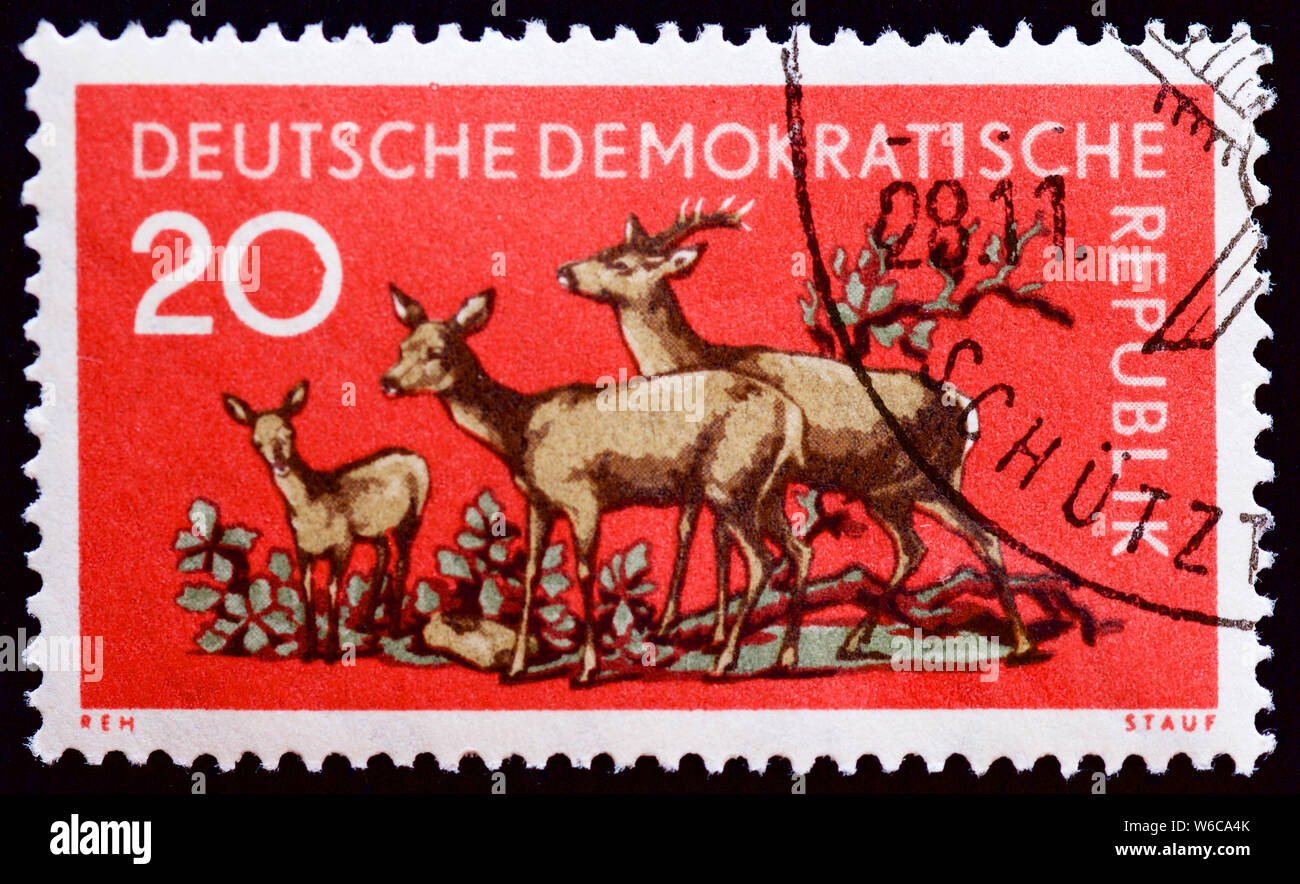 L'Allemagne de l'Est timbre-poste - Chevreuil Banque D'Images