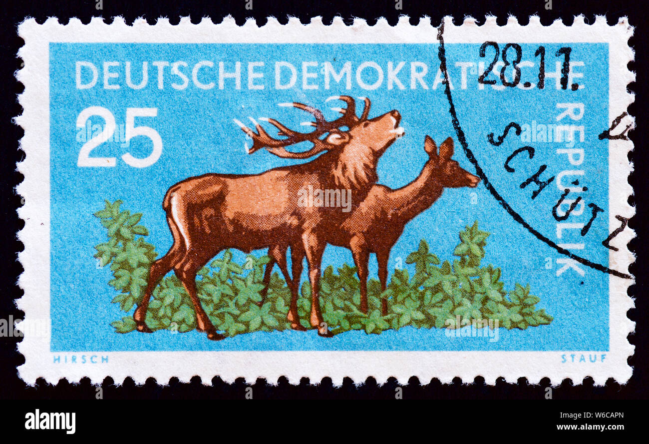 L'Allemagne de l'Est timbre-poste - Red Deer Banque D'Images