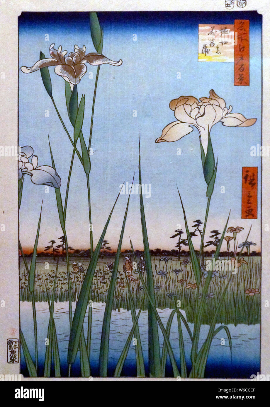 Cent vues célèbres d'Edo : Horikiri Jardin d'Iris, gravure sur bois, par Utagawa Hiroshige, 1857 Banque D'Images