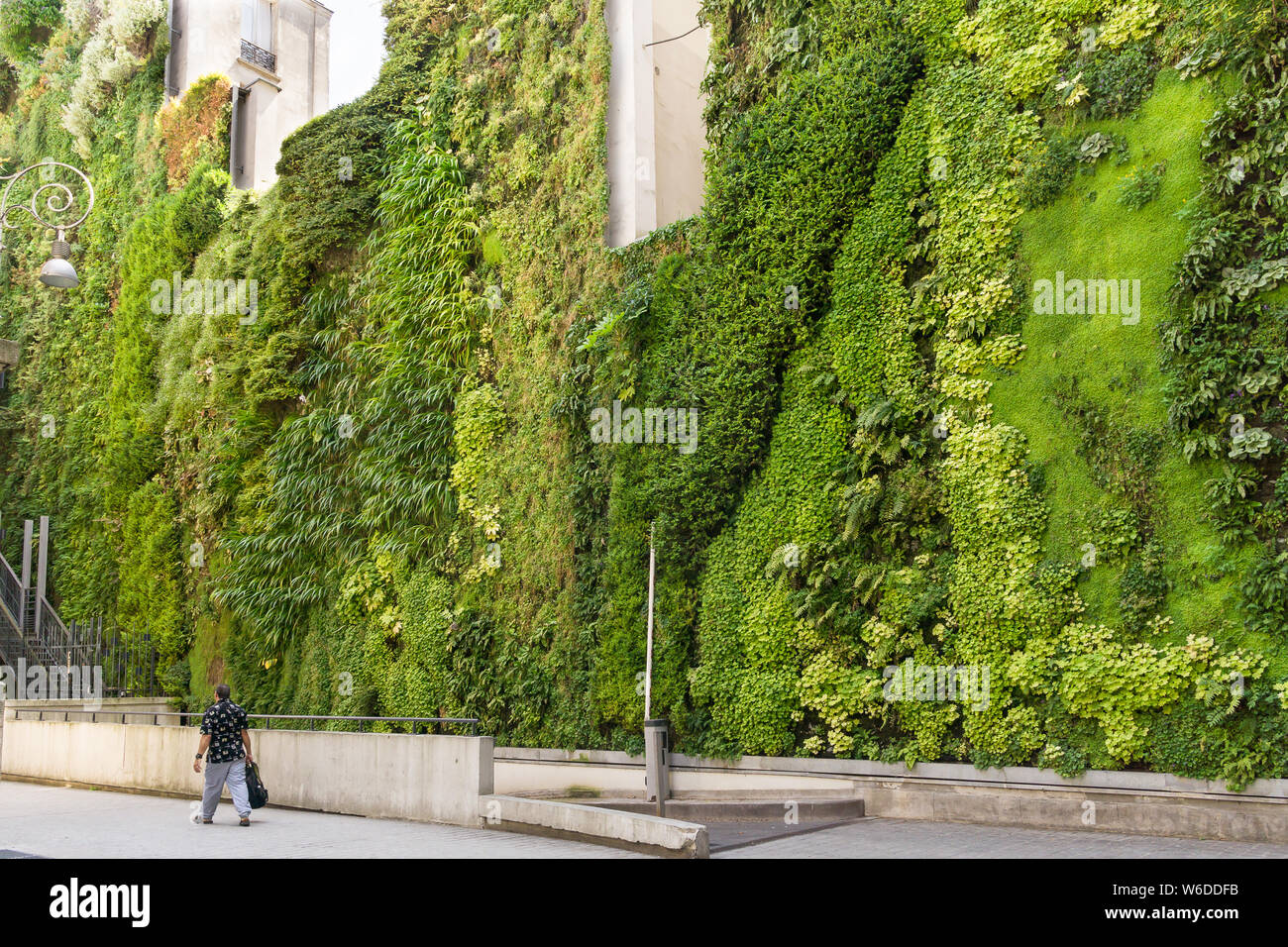 Mur vivant Paris - jardin vertical faites par Patrick Blanc sur la Rue d'Alsace à Paris, France, Europe. Banque D'Images