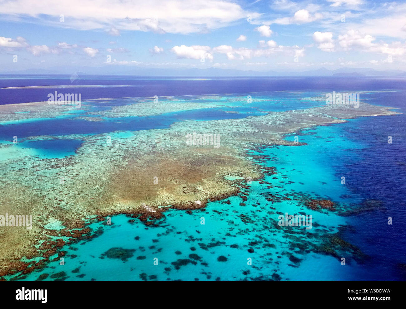 Paysage de la Grande Barrière de Corail dans la mer de corail au large de la côte du Queensland, Australie, 2018. Un vague de chaleur marine s'étend de juin Banque D'Images