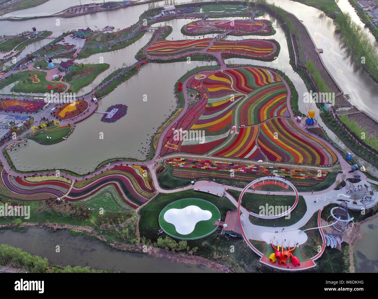 Vue aérienne de plus de 30 millions de tulipes en fleur pleine à la mer de Hollande de fleurs dans la ville de Yancheng Dafeng, district de Jiangsu, de l'est provi Banque D'Images
