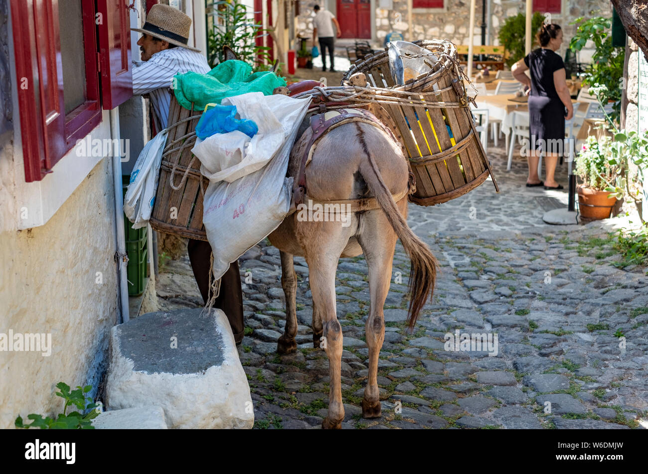 Une scène de village dans les régions rurales de la Grèce comme un homme avec son âne parle à un acheteur potentiel de ses légumes dans une place de village Banque D'Images