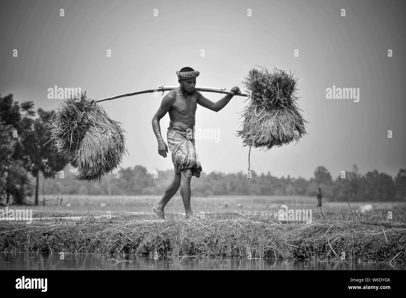 Le travail de l'agriculteur la photographie de paysage Banque D'Images