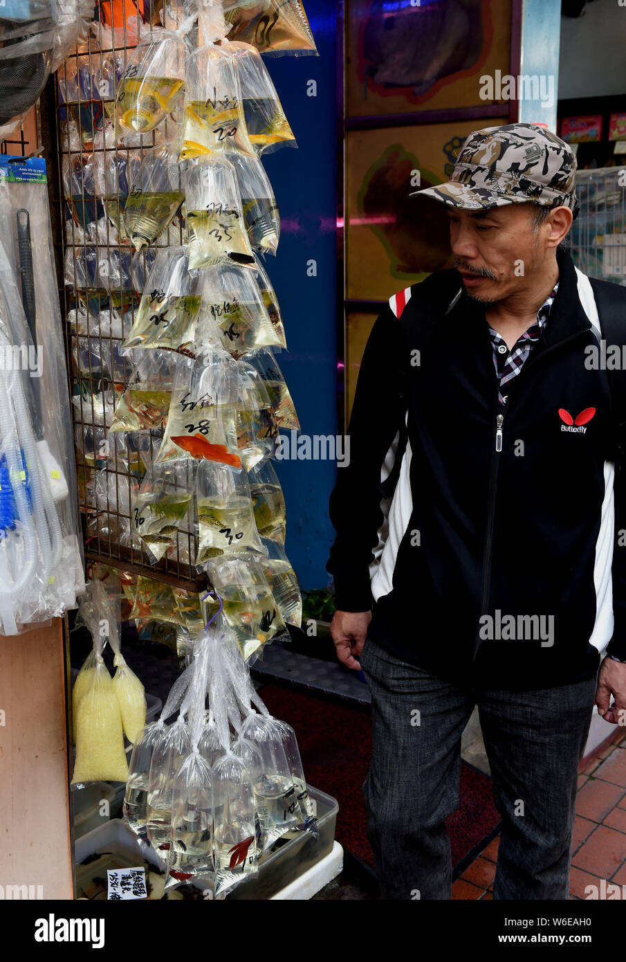 Un visiteur consulte les poissons et produits aquatiques vendus dans des sacs en plastique dans un magasin situé dans la rue Tung Choi à Hong Kong, Chine, 20 mars 2018. Le Tung Choi St Banque D'Images