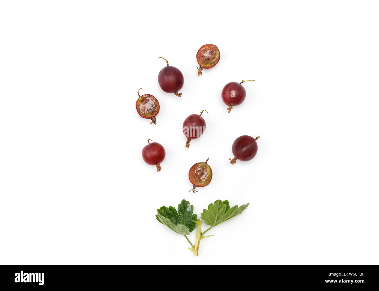 Groseilles rouges mûres organiques. Les moitiés de fruits entiers et d'un brin. Mise en page créative faite de groseilles isolé sur blanc. Mise à plat. Banque D'Images