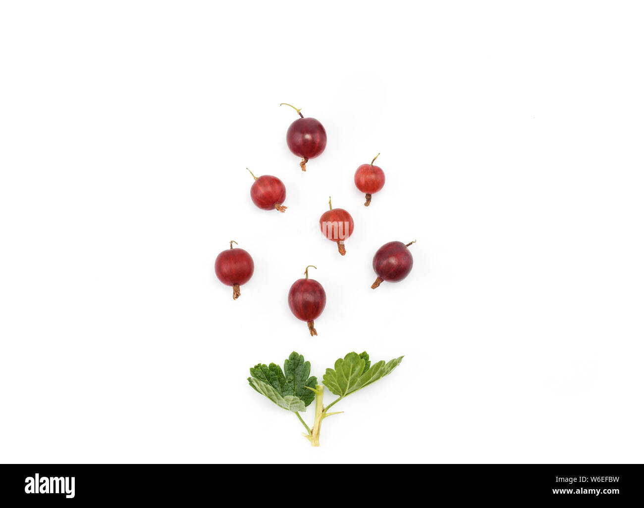 Groseille rouge mûrs organique sur blanc. Mise en page créative faite de groseilles isolé sur blanc. Mise à plat avec l'exemplaire de l'espace. Concept alimentaire dans un style minimaliste Banque D'Images