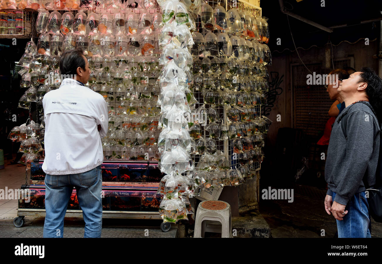 Les poissons et les organismes aquatiques les articles vendus dans des sacs en plastique dans un magasin situé dans la rue Tung Choi à Hong Kong, Chine, 20 mars 2018. Le Tung Choi Stre Banque D'Images