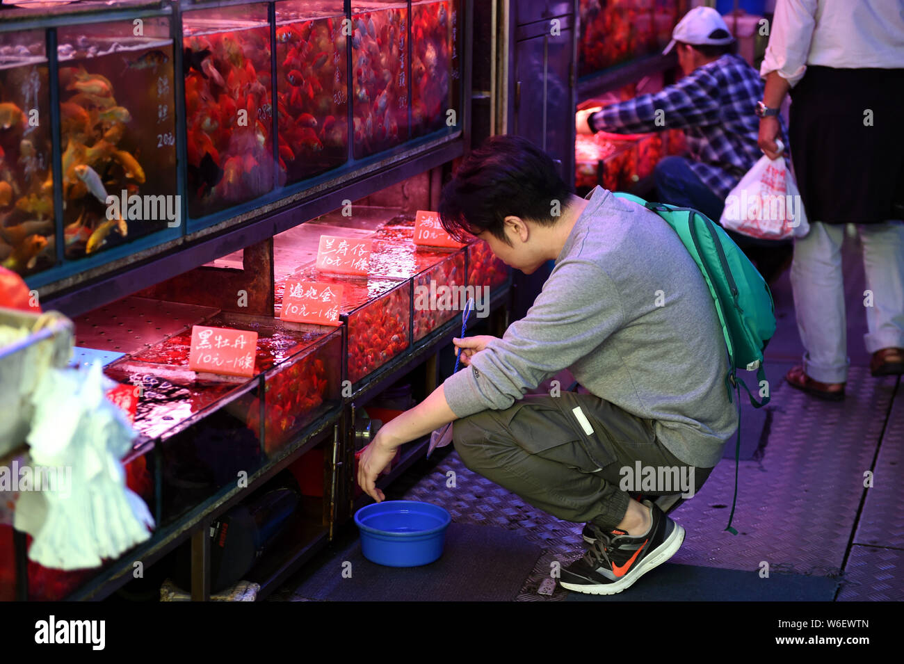 Un visiteur consulte les poissons et produits aquatiques vendus dans des sacs en plastique dans un magasin situé dans la rue Tung Choi à Hong Kong, Chine, 20 mars 2018. Le Tung Choi St Banque D'Images
