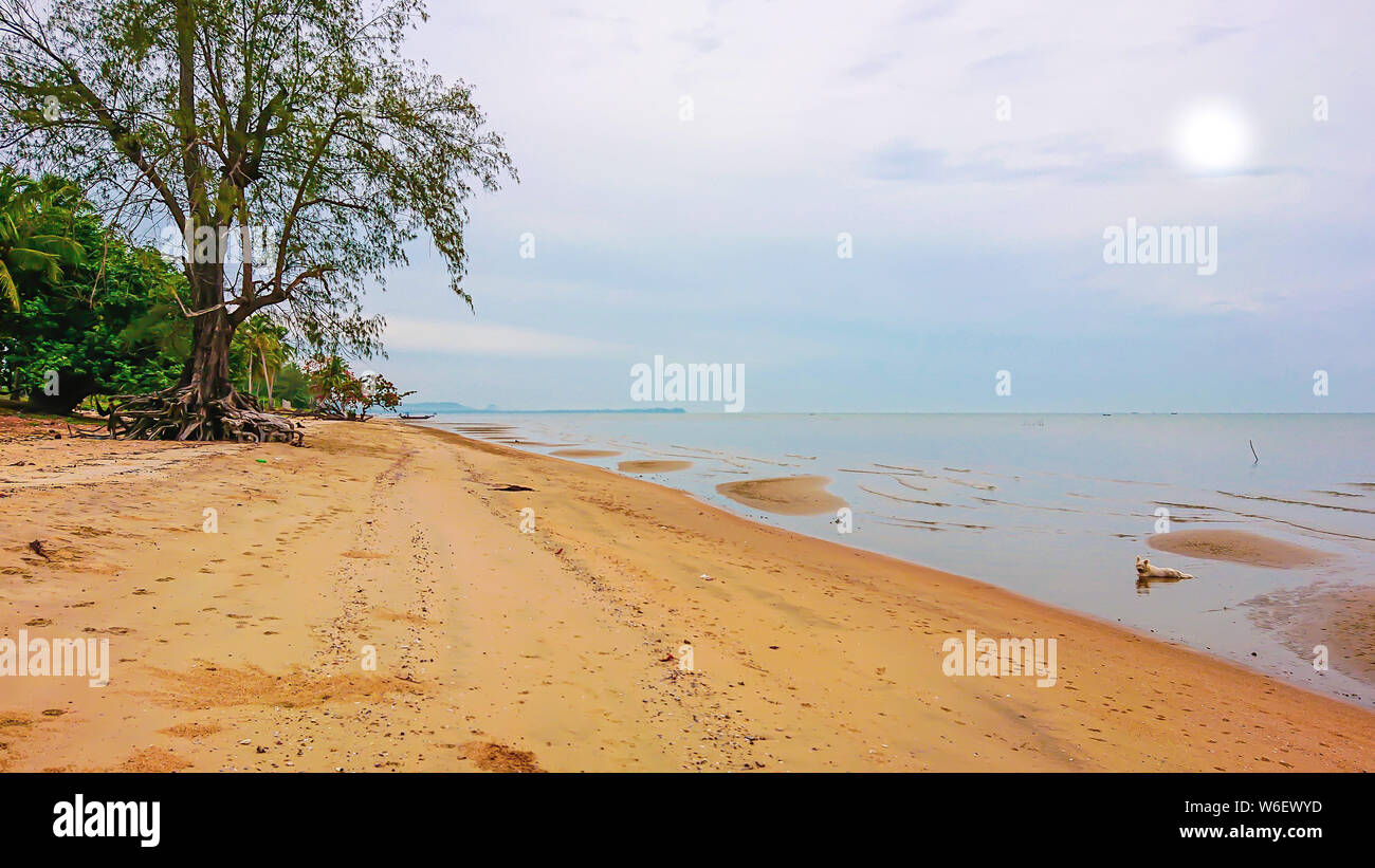 Plage tropicale avec la mer et le ciel en matin Thaïlande.Belle plage avec la forêt et le ciel Banque D'Images