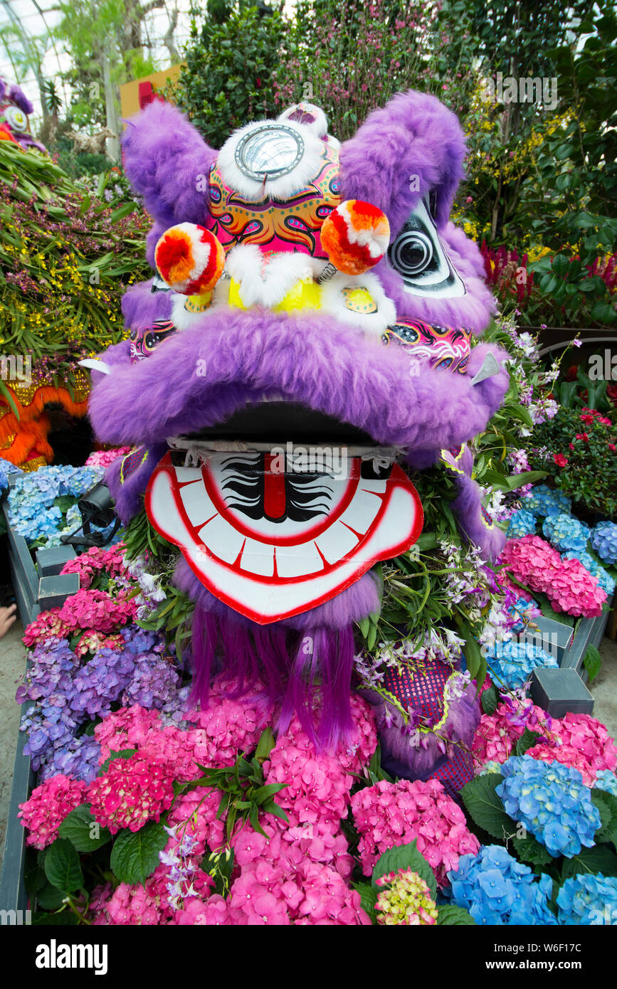 Lion Chinois entouré d'hortensias Banque D'Images