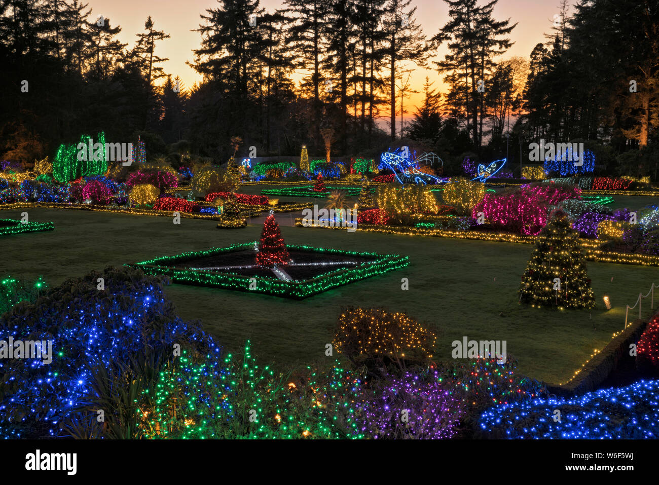 On estime à 300 000 lumières transformer le Shore Acres State Park Botanical Garden dans un Holiday Lights annuel magique sur la côte de l'Oregon d'affichage. Banque D'Images