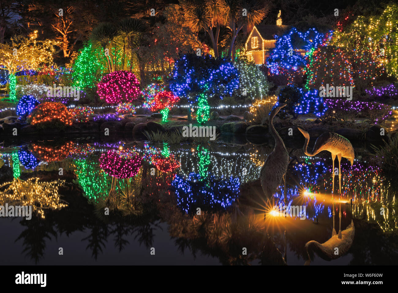 On estime à 300 000 lumières transformer le Shore Acres State Park Botanical Garden dans un Holiday Lights annuel magique sur la côte de l'Oregon d'affichage. Banque D'Images