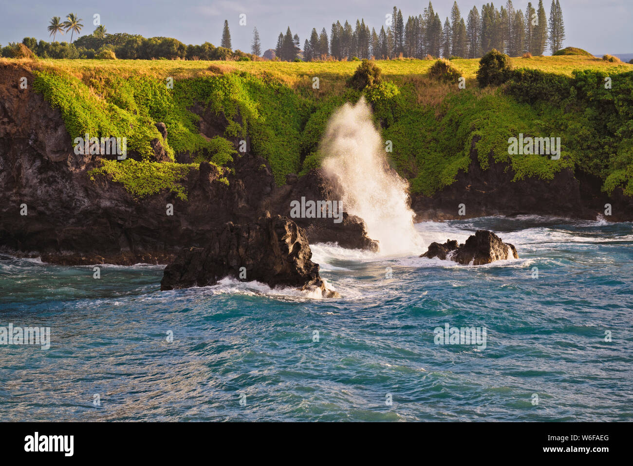 Des vagues de tempête smash contre le rivage de lave à Nakalele Point sur l'île de Maui. Banque D'Images