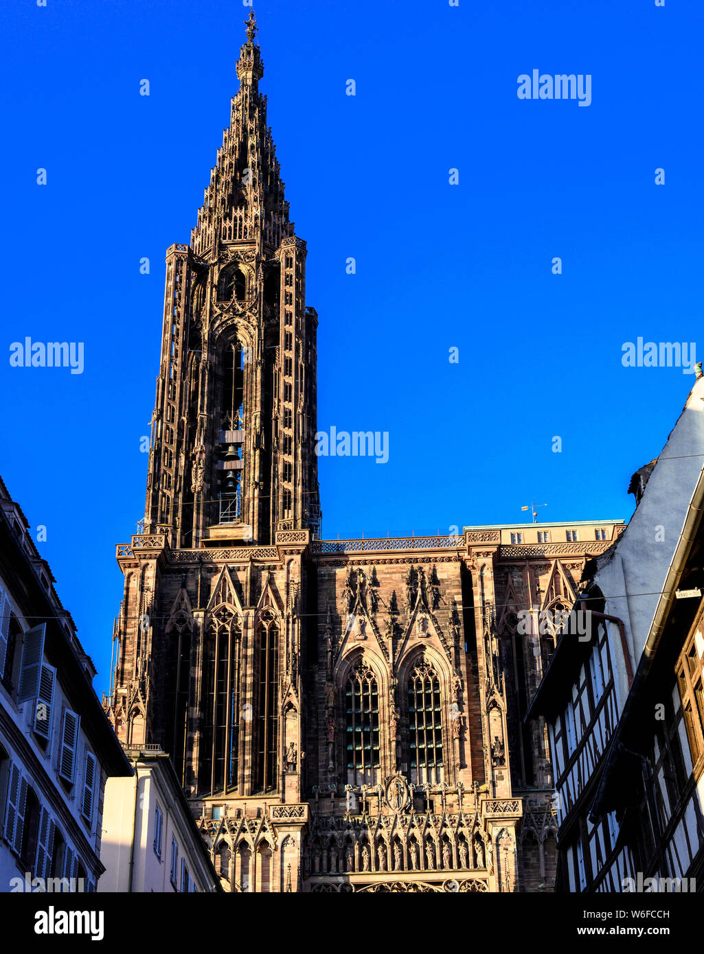 Cathédrale gothique Notre-Dame 14e siècle, spire, Strasbourg, Alsace, France, Europe Banque D'Images