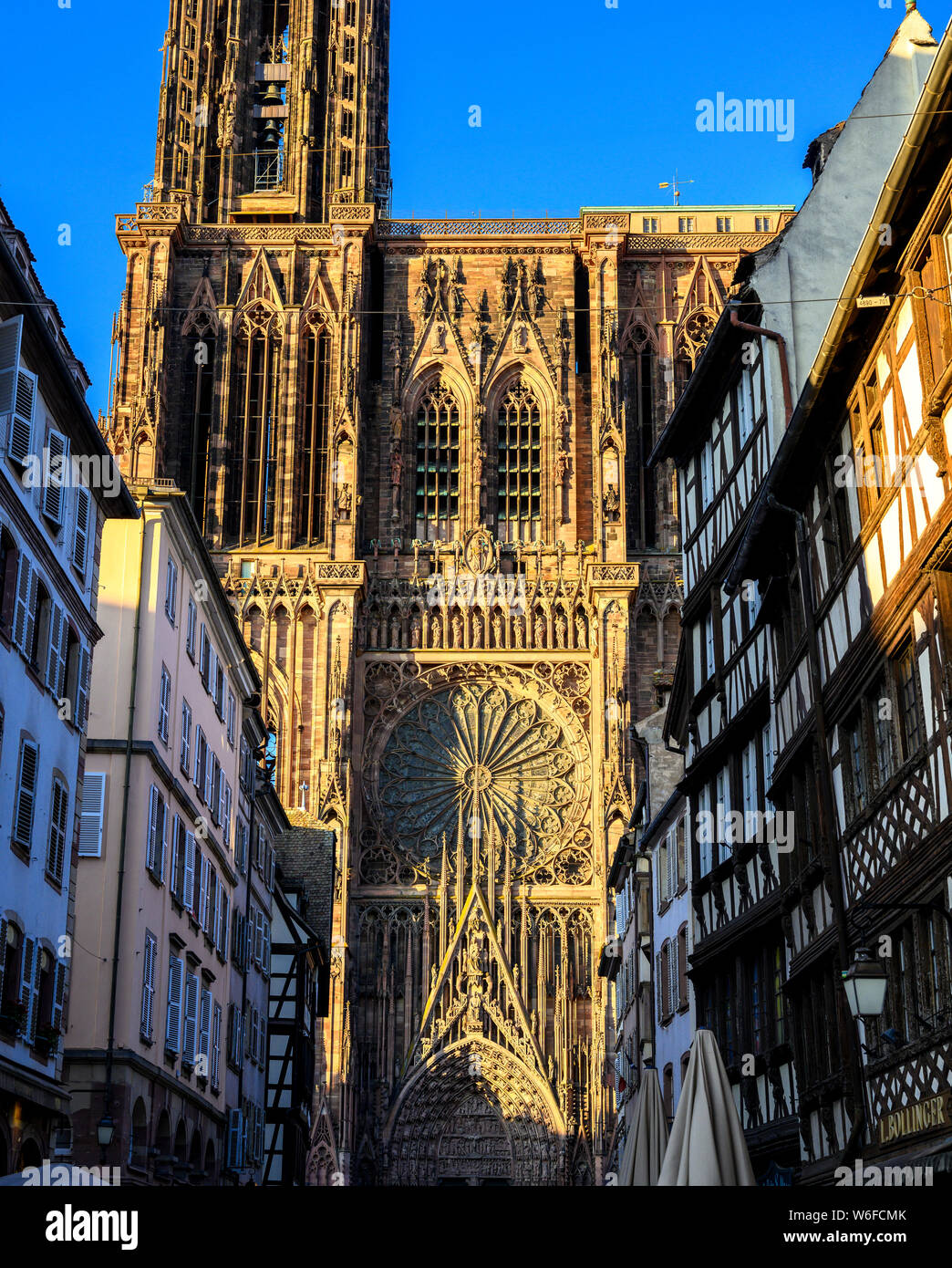 Notre-Dame cathédrale gothique du 14e siècle, rosace, Strasbourg, Alsace, France, Europe Banque D'Images