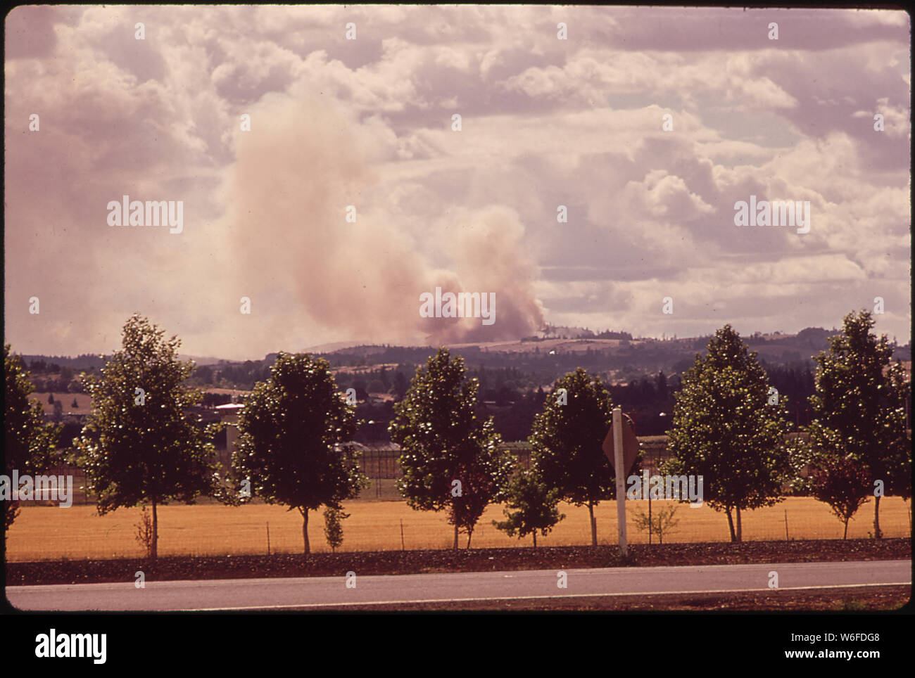 Brûler des chaumes de semences dans la vallée de Willamette Banque D'Images