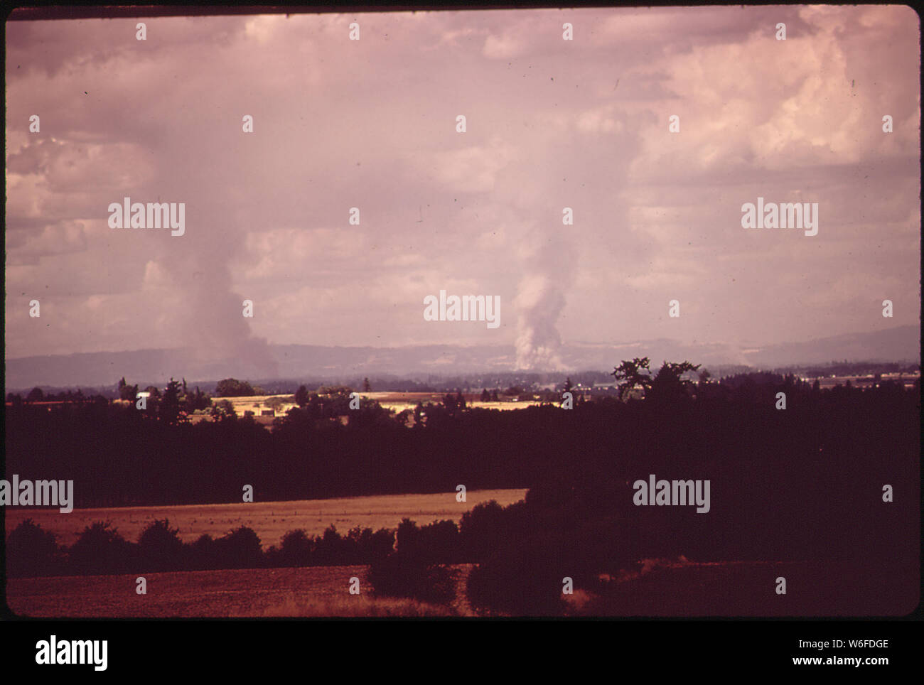 BURNING GRASS CHAUME DANS WILLAMETTE VALLEY Banque D'Images