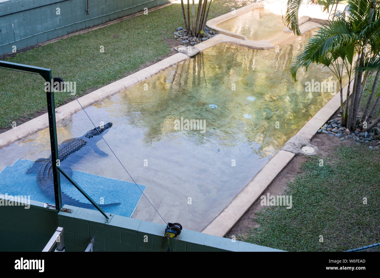 Un Saltwater Crocodile trouvé dans les états du nord de l'Australie, dans son stylo à l'Australia Zoo à Beerwah, sur la Sunshine Coast dans le Queensland, Australie Banque D'Images