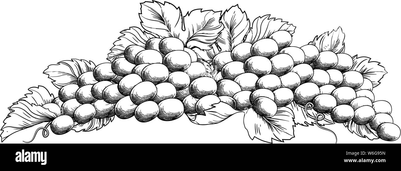 Bouquet de raisins et de feuilles de vigne Style gravure sur bois Illustration de Vecteur