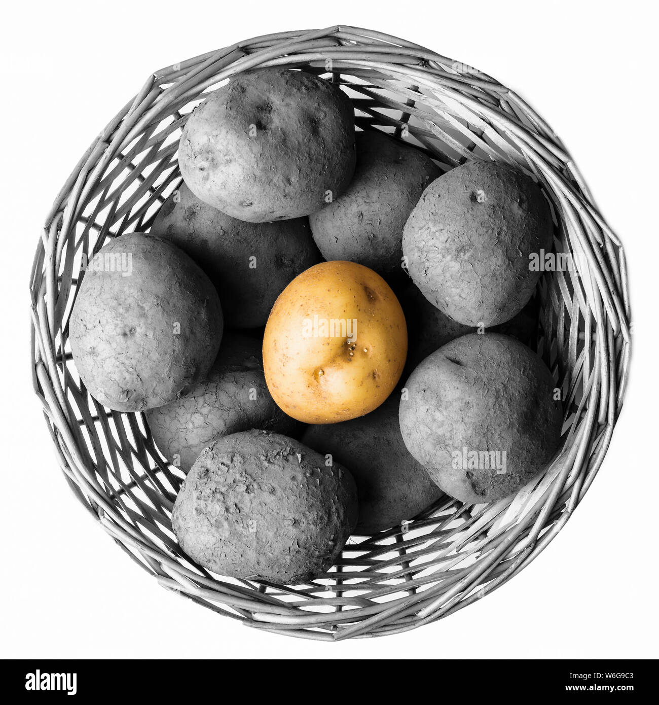 Panier de pommes de terre de la campagne principale boueuse en noir et blanc avec un point central, de pommes de terre de couleur Banque D'Images